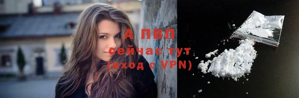 спайс Мегион