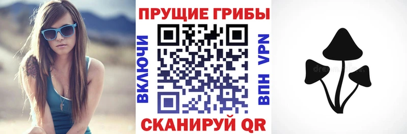 МЕГА ONION  Новоульяновск  Псилоцибиновые грибы Psilocybine cubensis 